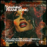 Frank Sonic - Dawning