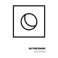 Aaron Williams - In the Dark