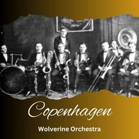 Wolverine Orchestra - Copenhagen