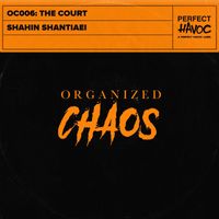 Shahin Shantiaei - The Court