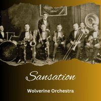 Wolverine Orchestra - Sensation