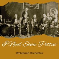 Wolverine Orchestra - I Need Some Pettin'