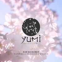 Dan Guidance - Sleeping Wide Awake / Wolves