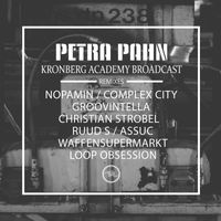 Petra Pahn - Kronberg Academy Broadcast