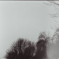 mosaique - only tree