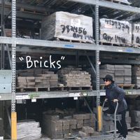 Amy Rigby - Bricks