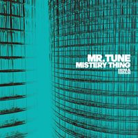 Mr.Tune - Mistery Thing