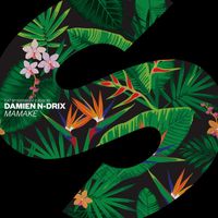 Damien N-Drix - Mamake (Extended Mix)