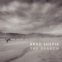 Brad Shepik - The Search