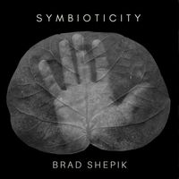 Brad Shepik - Symbioticity