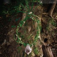 Pharmakon - WITHER AND WARP