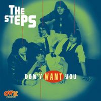 The Steps - Don't Want You