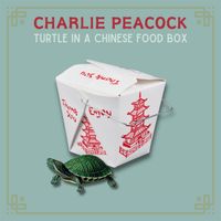 Charlie Peacock - Turtle In A Chinese Food Box