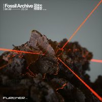Fossil Archive - Shine