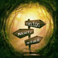 Necton - Down the Rabbit Hole