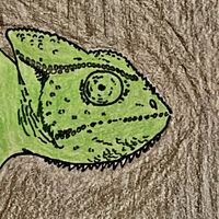 Murr - The Chameleon