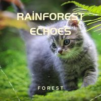 Forest - Rainforest Echoes