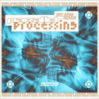 Camion Bazar - Parallel processing (Belaria Remix)