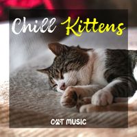 Cat Music - Chill Kittens