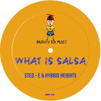 Sted-E & Hybrid Heights - What Is Salsa
