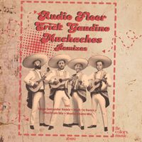 Audio Floor, Erick Gaudino - Muchachos (Remixes)