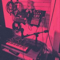 newt - Vol. 3