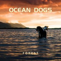 Forest - Ocean Dogs