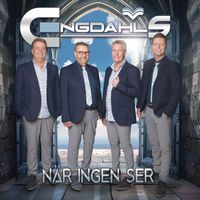 ENGDAHLS - När ingen ser