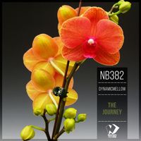 DynamicMellow - The Journey