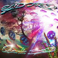 Scid Fredi - Quantic Beats