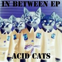 Acid Cats - In Between EP