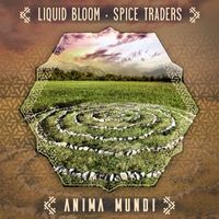 Liquid Bloom, Spice Traders - Anima Mundi