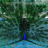 Scott Reeder - I Never Wanted
