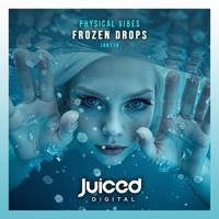 Physical Vibes - Frozen Drops (Extended Mix)