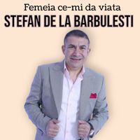 Stefan De La Barbulesti - Femeia ce-mi da viata