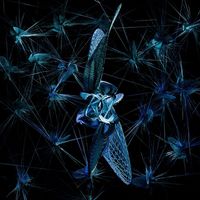 Ophion - Ransomware