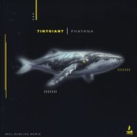 TINYgiant - Phayana