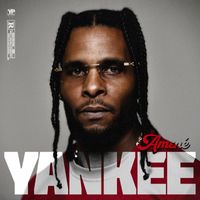 Yankee - Amné