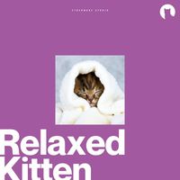 Relax My Kitten - Relaxed Kitten