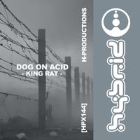 Dog on Acid - King Rat