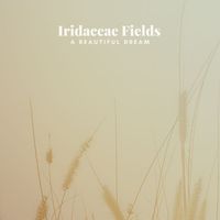 Iridaceae Fields - A Beautiful Dream