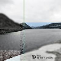 TRC2 - Modern Renaissance