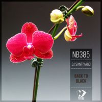 Dj SantiyaGO - Back to Black