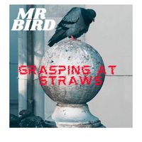 Mr Bird - Grasping At Straws