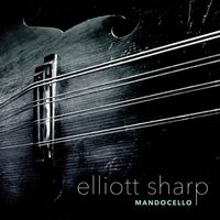 Elliott Sharp - Mandocello
