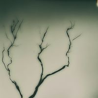 The BaSe - City of Dreams, City of Illusions