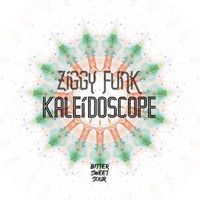 Ziggy Funk - Ziggy Funk - kaleidoscope