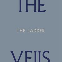 The Veils - The Ladder