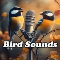 Singing Birds - Bird Sounds