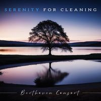 Beethoven Consort - Serenity for Cleaning